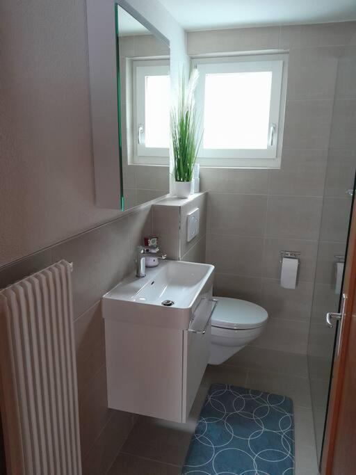 2 1/2 Zimmer Ferienwohnung Meiringen Exterior foto